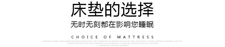 智能共享床垫