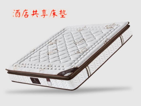 涨知识啦！一篇文章带你了解雨辉酒店共享床垫