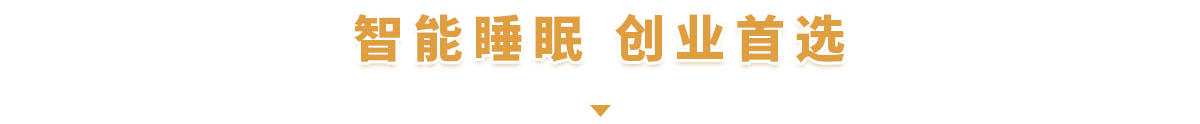雨辉床垫+事业合伙人