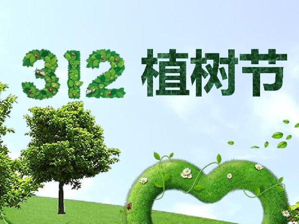 植树节，细雨辉洒，播种一年春之希望！
